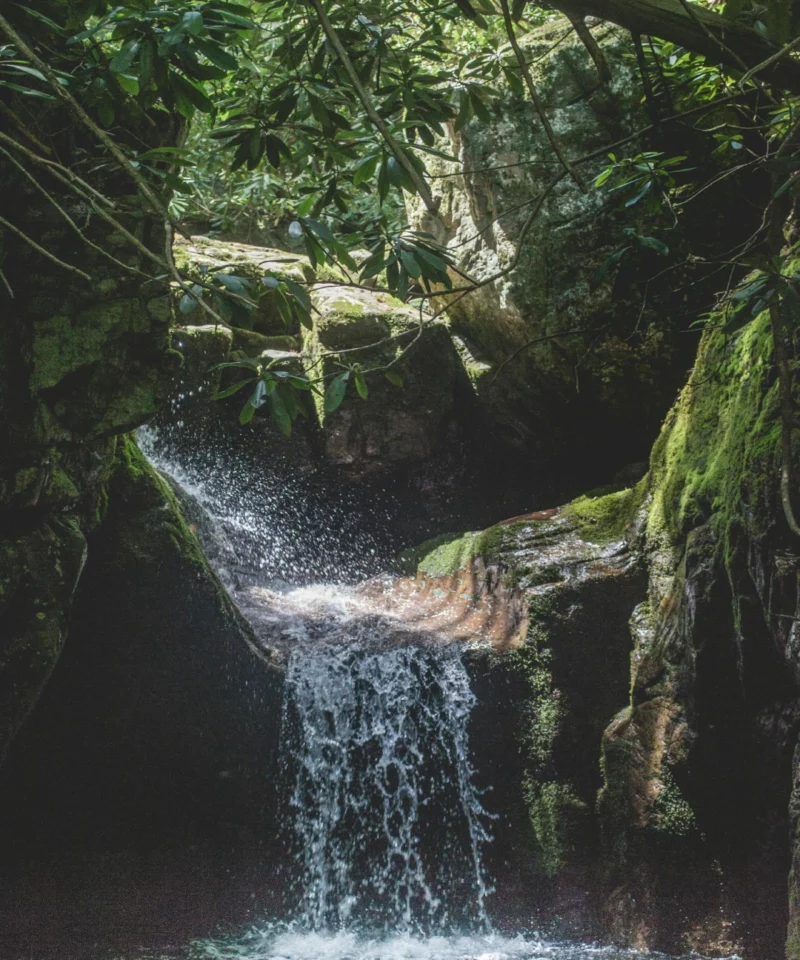 Thrills of the Inca Jungle Trek
